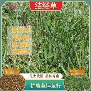 �ļ�����ݷN�����ձ��Y�|�ݲ������`̤���޼��o�¾G����ƺ���Ͳ�