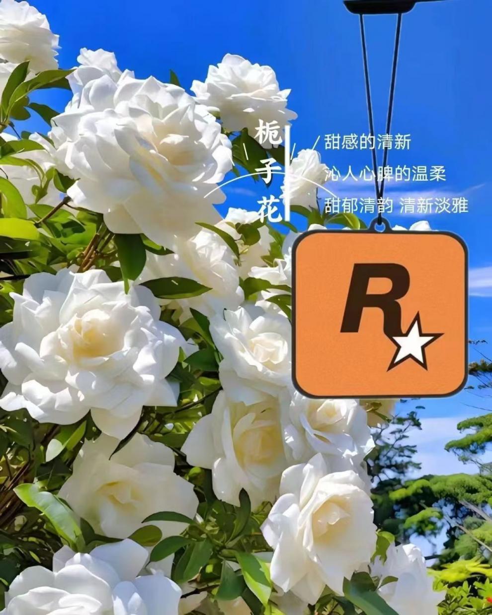 0b891ef5-ea5d-4874-8404-0e9adeeeade9.jpe