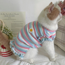 夏天彩虹条纹狗狗猫咪衣服夏季薄款小型犬幼犬幼猫防毛夏装背心厂