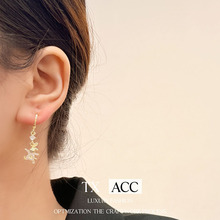 ���W΢肷��ʯ���Ӷ��Ů�p�ݸ߼��К��|���h2026���¿��ﶬ���