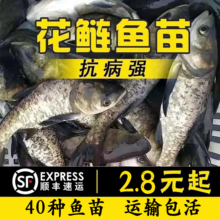 �����~����^�~���I�~�������^�I�~�����^�~������~����S���]