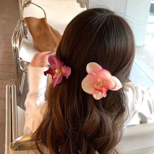 ins�L��������ϵ��~��������m����l�A�P�l���ӷՇ��аl��^�Ů