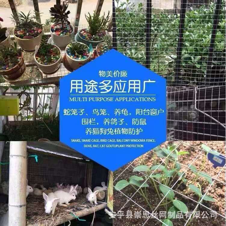 db241b1a-826e-44f0-b246-ea02ef