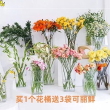 醒花桶深水桶养花桶亚克力插花瓶花店插花桶鲜花花筒透明塑料