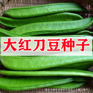 ��t�����N�Ӿ��ʹ�ⶹ�N�ѵ��Ͷ��N�������ļ��߲����ٶ��ǷN��