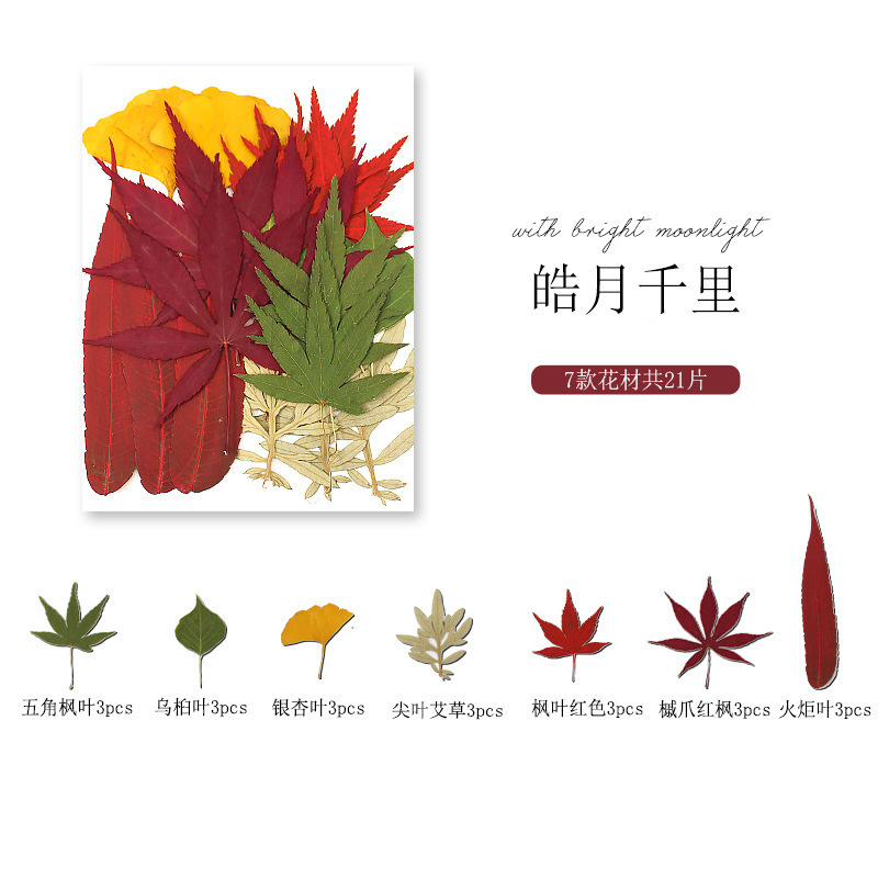 干花diy材料包永生花压花片押花草手工滴胶书签真花植物树叶标本|undefined