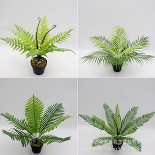 ����Gֲ�F�䲨˹��ާ���ؙ����K�F�����k���Ҹ��x��ֲ��G������