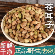 苍耳子 500g克仓耳子泡茶非野生可磨苍耳子粉中药材正品