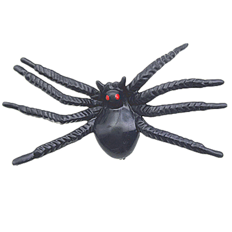Red-Eyed Spider Image 3