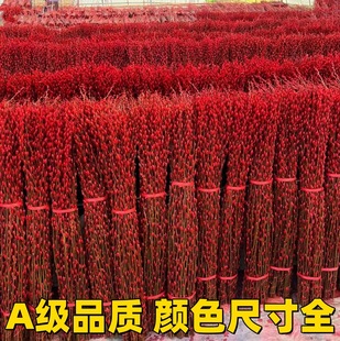 [Free Shipping] Silver Willow Dried Flowers and Fresh Branches Chengdu Base Straight Hair Bouquet Fresh Branches Red Willow Real Flowers New Year's Eve Flowers