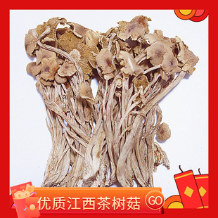 Грибы Camellia Mushroom Оптовые грибы Jiangxi Tea Tree не открывают стержни зонтика без копченого серы 5 кг супа серы, ингредиенты чайное дерево гриб