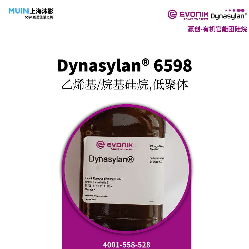 Dynasylan 6598 有机硅 |赢创