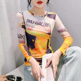 欧货欧货2024秋冬时尚纱网印花定位花长袖圆领修身显瘦洋气上衣潮