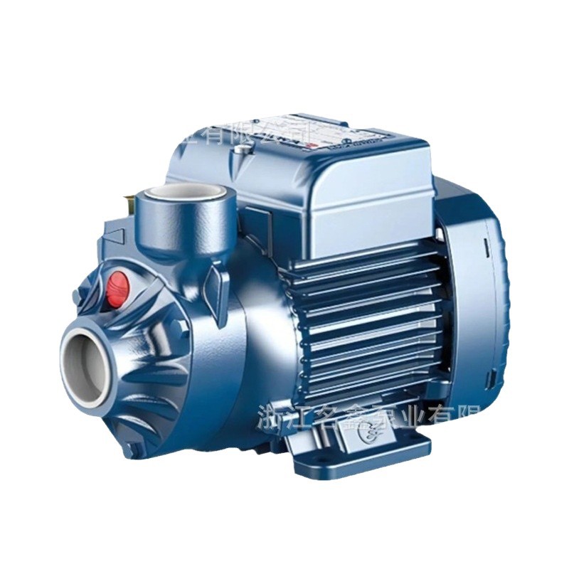 Bomba de refuerzo de agua del grifo de vórtice PKM60 Máquina herramienta italiana 220v110v Bomba de aceite de circulación centrífuga de alta presión