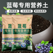 {ݮ{ݮIB͸NֲGֲ̨ЙCʠIB