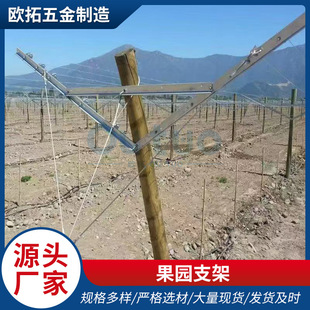 �Nֲɽ��������ш@���@��� ��������������֧�ܘ���