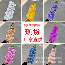 PU��������m��c�ٻ���Y�廨�ߙn�m���ҾӔ[���b��滨���l