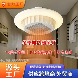 风扇灯;舞台灯;其他取暖电器