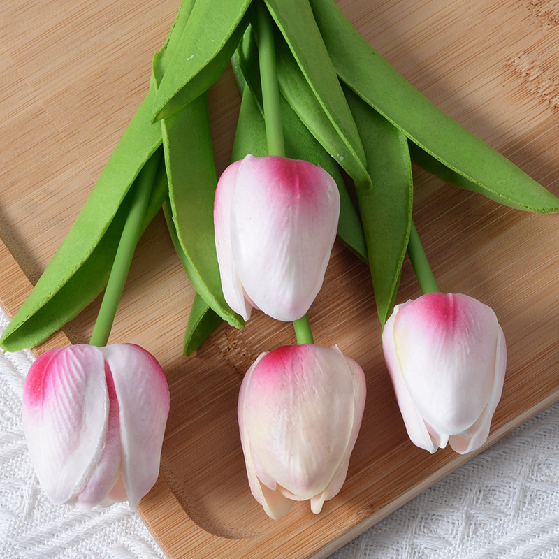 Meihong Tulip