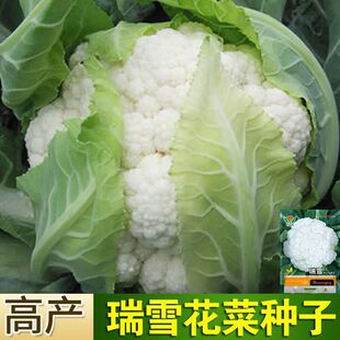 80�컨�˷N���ЙC�׻��N���๣��Ҭ�˷N���＾�ļ��s���߲˷N��
