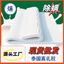 泰国进口天然乳胶单双人床垫酒店学生宿舍软垫榻榻米床垫除螨抗菌