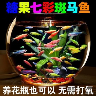 �^�p�~���B������ˮ�W�t�׻��ǹ��Lβ���R�~С�͟Ꭷ�~�����~