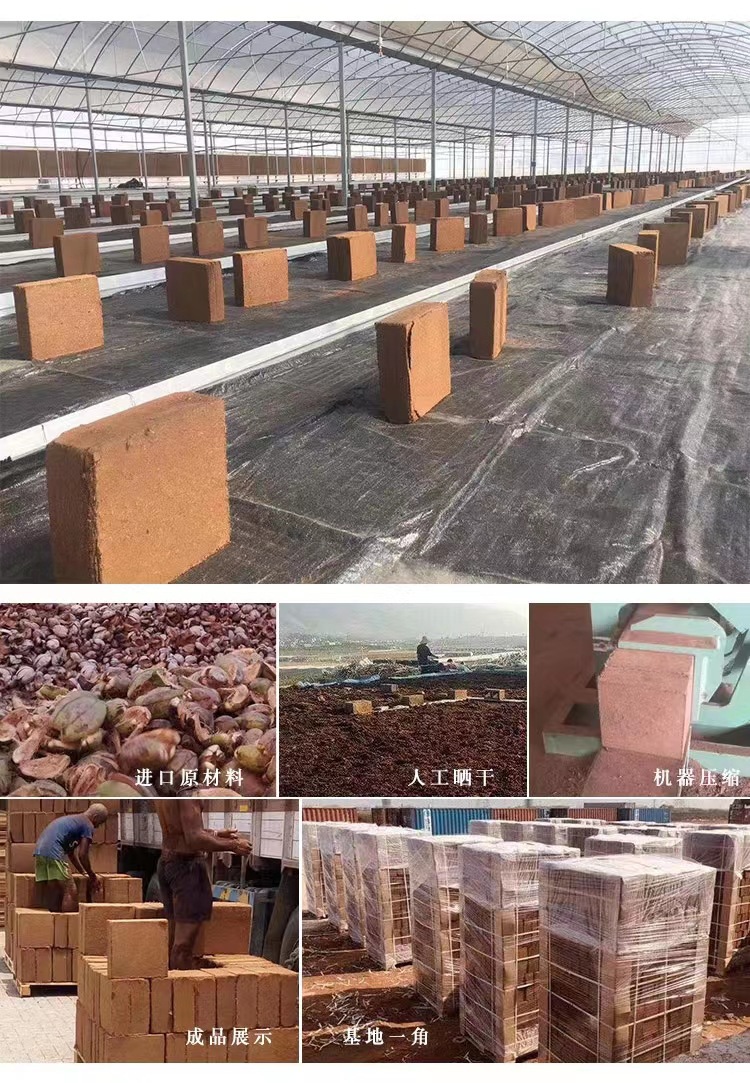 O1CN01SiMypg2HVxZc0kf19_!!2609