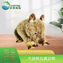 ��������ë�q��߹��� ���նY�����˿ɐۄ�����߃�ͯ�������l
