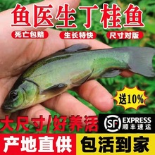 ���������~�絭ˮ�~���Bֳ�^�p�~�ͻ���ˮ�~�W�޶��~�����~��~��