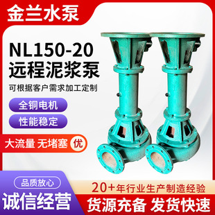 NL150-20�h�����{����ʽ��ˮ�����U������Һ�³���ɳ��NL���{��
