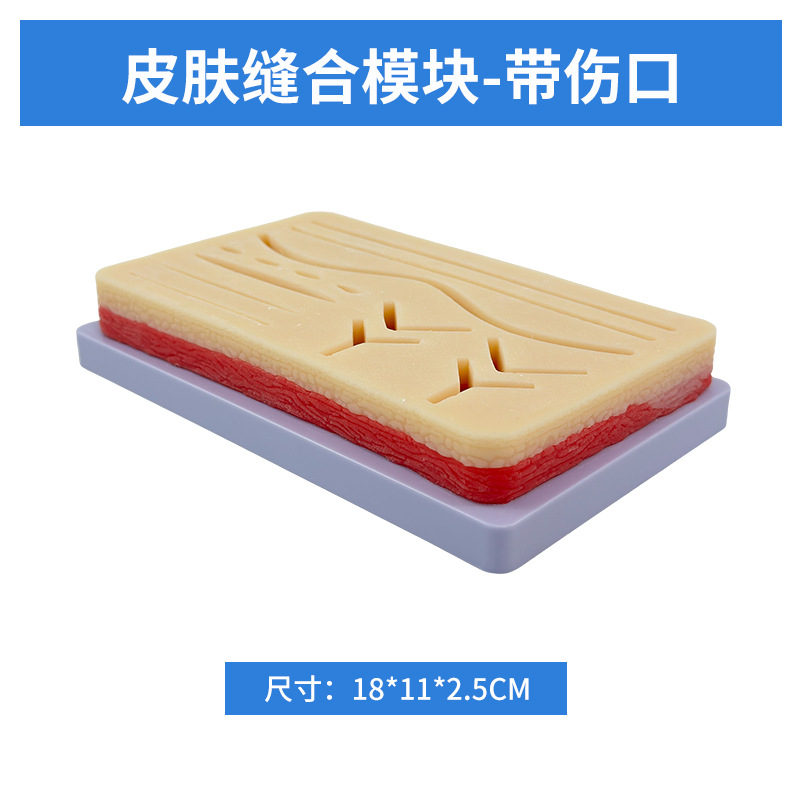 �¿�Ƥ�����ģ��/�轺���/���˿������ϰ�轺�洴����Ʒ��Ƥ