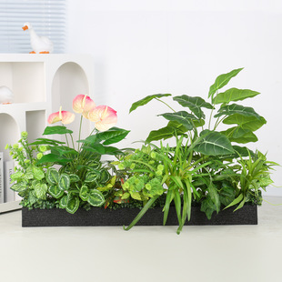 Gֲ쾰Mϸ໨ۻb҃Ⱦ^ٻֲ