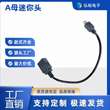A ĸ�����^����USB A ĸ�D Mini USB ���^�D�Ӿ���