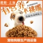 大型公斤500狗粮生产线