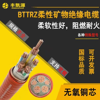 加工定制矿物质防火电缆BTTRZ BTTZ YTTW