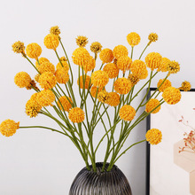 ��֧10�^���������滨��@�L�Ҿ��bzӰ���߲廨�[�������S����