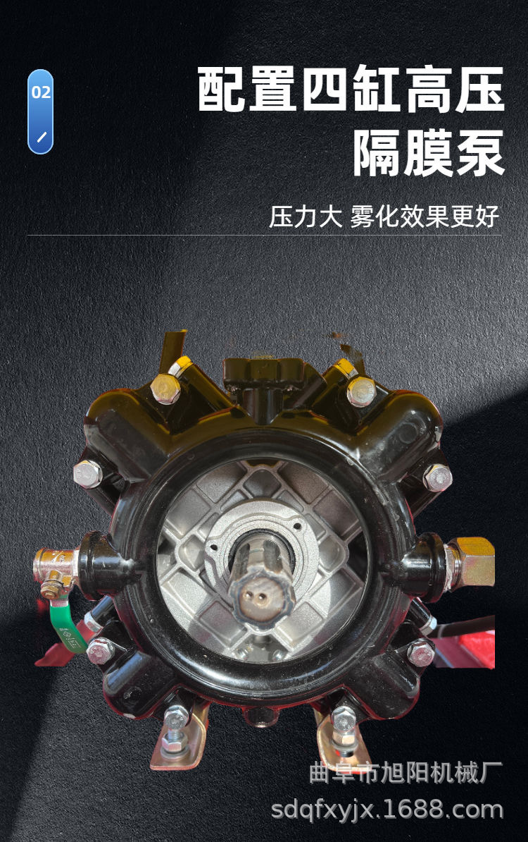 详情 (7).JPG
