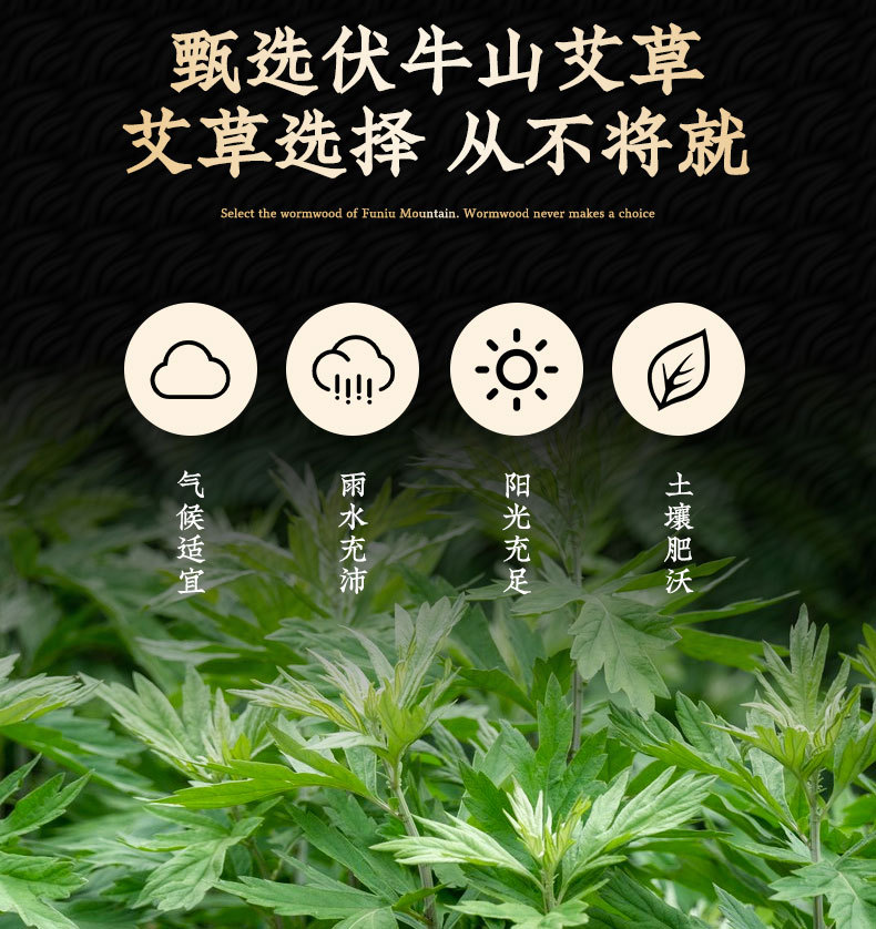 Five Year Aged Moxa Wool 50:1 Ai Rong Golden Moxa Floss 500g Bulk for Moxibustion Sticks and Cones key features