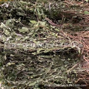 �����]�����ӽ�ɰ�ݹ��Ӳ���ɰ�� ÿ��500�� ��ʮ��С�r�l؛