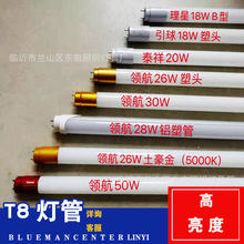 �I�� ���� ̩�� led���ܳ����չ��t8�L�l������ȫ�׹���֧�ܹ��