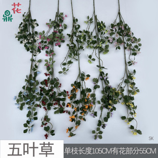 ���~�� С�Nޱ�� ��c�zӰ���߲����ٻ� �҃ȼҾӔ[���쾰���滨