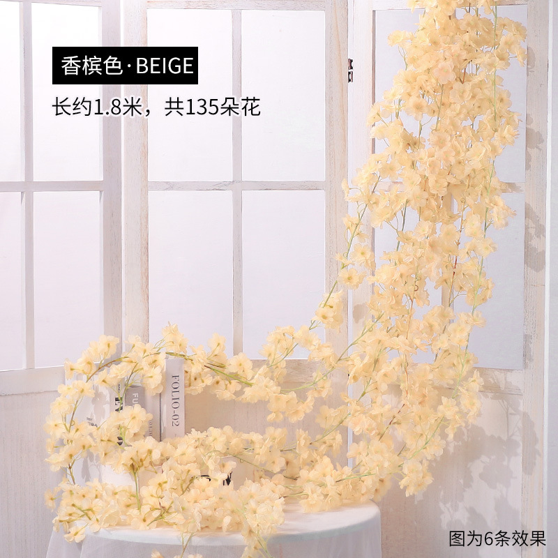 135 벚꽃 등나무 샴페인 컬러