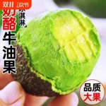 云南牛油果产地直发热带水果轻食应当季水果新鲜牛油果一件代发