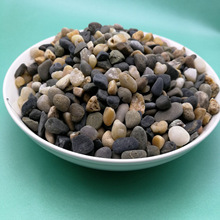 污水处理鹅卵石滤料 洗煤厂污水过滤垫层鹅卵石 水处理承托层滤料