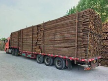 �ֈ�����ɼľ�U�@�־G��֧�ΗU�߉������o늾��U¶�I��ܳߴ��