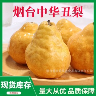 中华丑梨软糯香甜烟台太婆丑梨蜜梨吃的新鲜水果5斤包邮一件代发-阿里巴巴