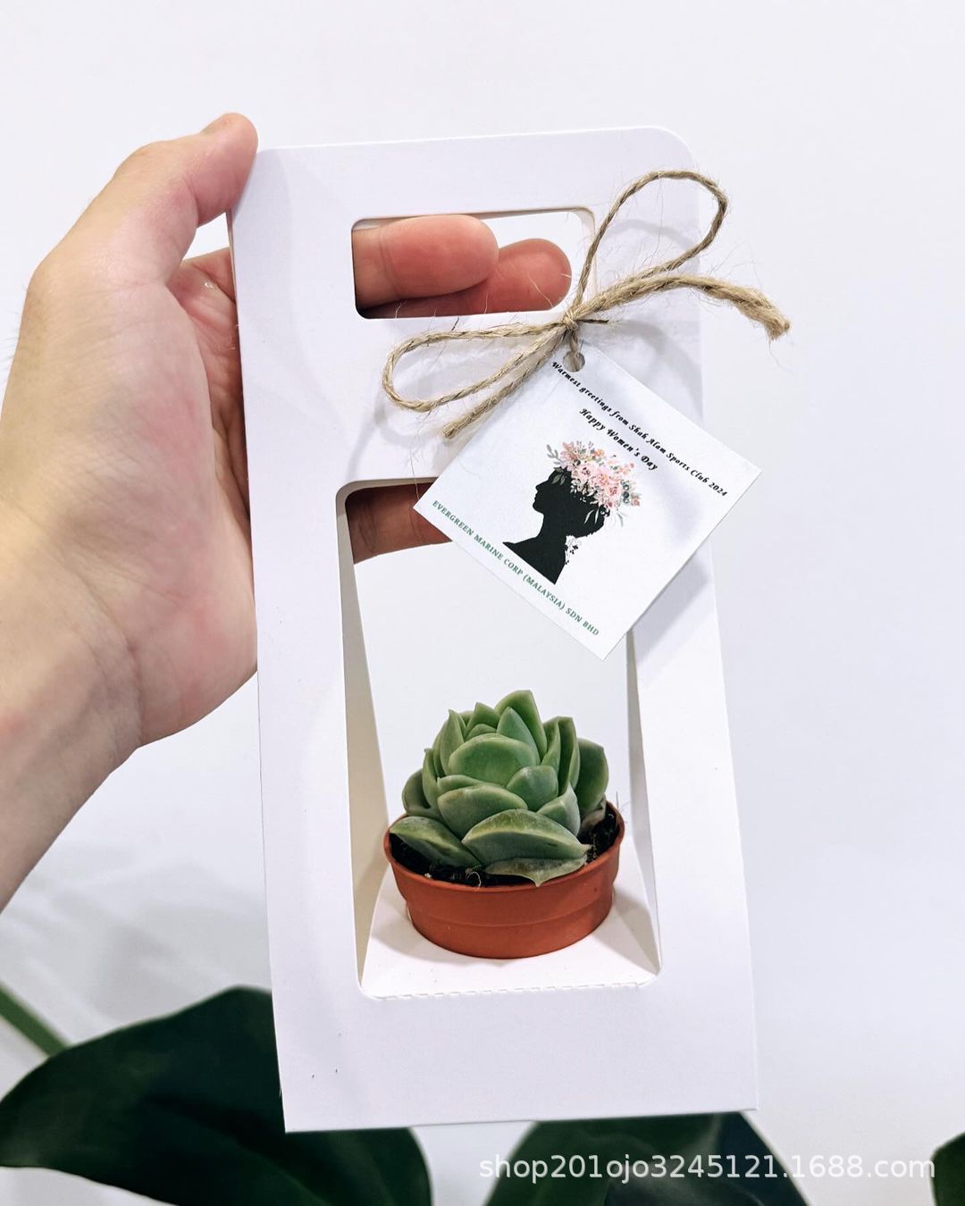 小小盆栽无挡板 (1) - 副本.jpg