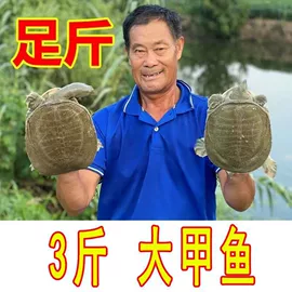 方便面类;膨化;传统糕点