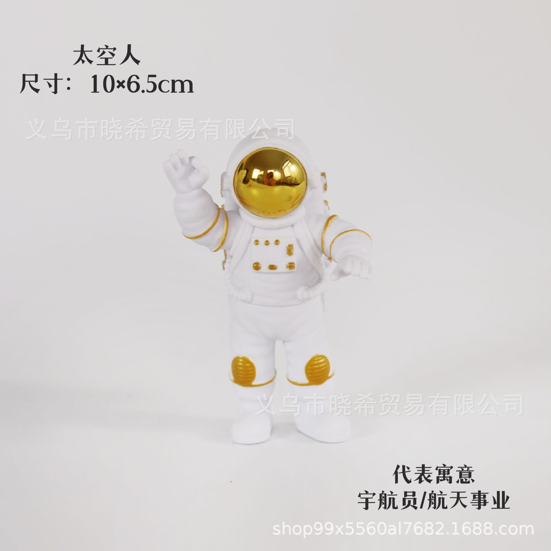우주 비행사