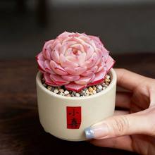 ����ֲ��M���҃Ȏ���С������¶�ҵ��Ϙ�������Gֲ����������